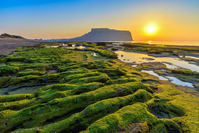 Jeju Island Grand Luxury Golf Escape 4 Nights | 3 Championship Rounds | Premium Korean Golf & Cultural